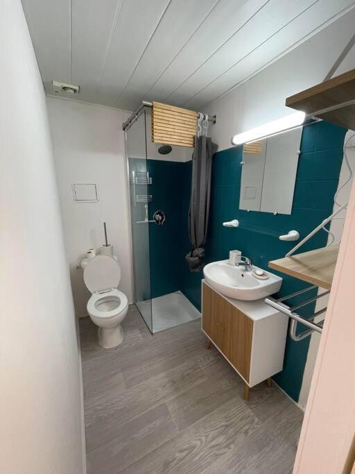 Appartement T2 Bagnères-de-Luchon Zewnętrze zdjęcie